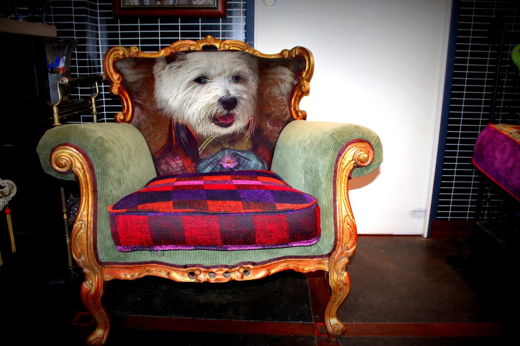 Fauteuil Baroque, réfection de fauteuil, cours de réfection de fauteuil, cours de tapisserie d'ameublement,  atelier réfection de fauteuil, rénovation siège, rénovation fauteuil, DIY